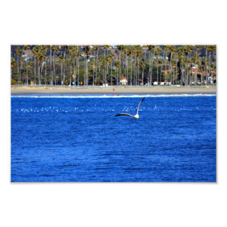 Foto Santa Barbara, CA