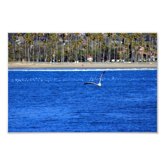 Foto Santa Barbara, CA (Frente)