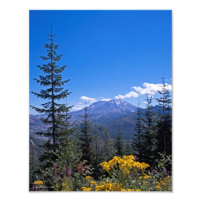 Foto Santa Elena de Monte 11X14 (Frente)