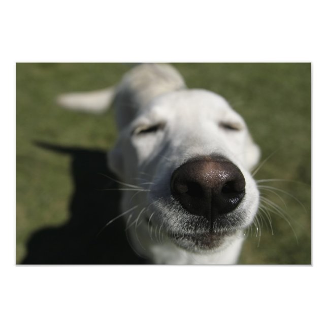 Foto Santa Fe, Nuevo México (Frente)