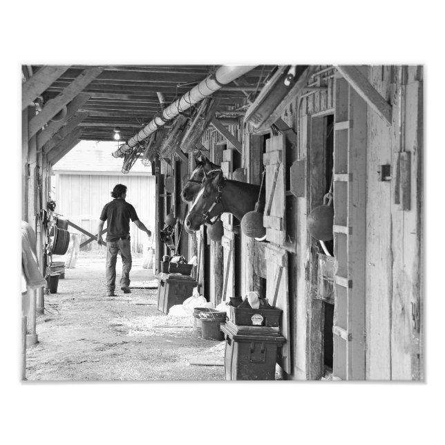 Foto Saratoga Shedrow en Horse Haven (Frente)