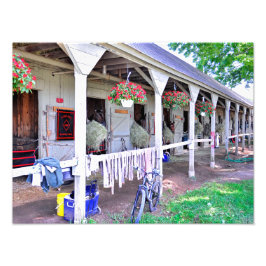 Foto Saratoga Stables "Refugio Equino"