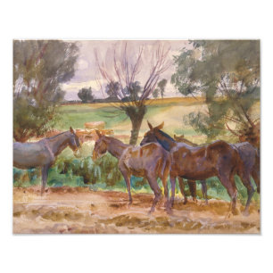Foto Sargento John Singer - Mules