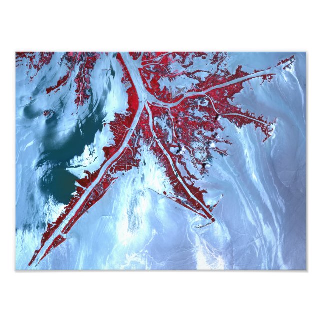 Foto Satélite de color falso (Frente)