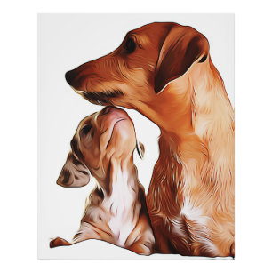 Foto Sausage Dog Puppies 7 Weeks Dachshund Birthday Pos