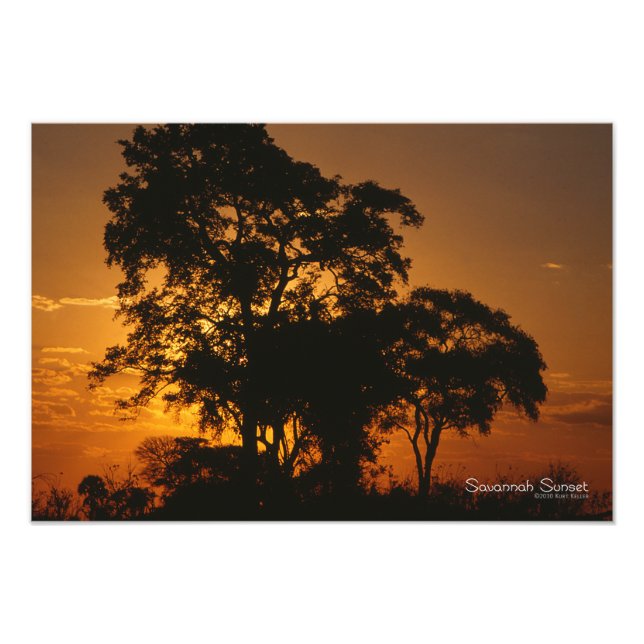 Foto Savannah Sunset (Frente)