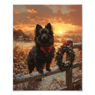 Foto Schipperke Dog Rustic Winter Sunset
