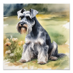 Foto Schnauzer en miniatura en el jardín - acuarela
