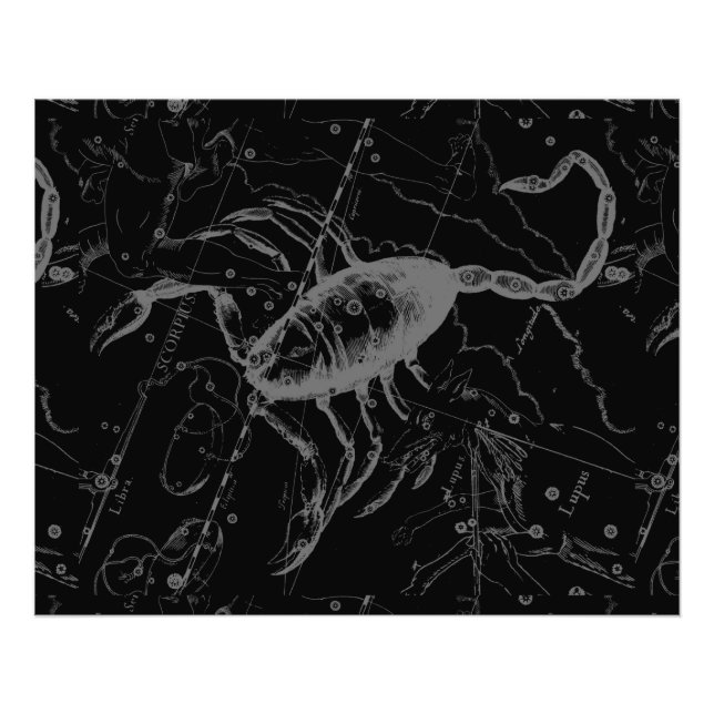 Foto Scorpio Constellation Hevelius 1690 en negro (Frente)