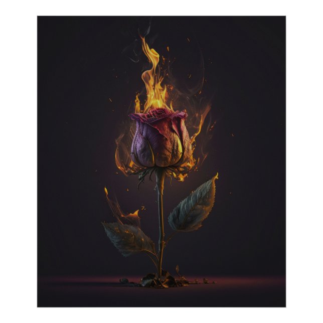 Foto se incendió (Frente)