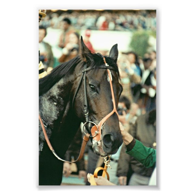 Foto Seattle Slew Thoroughbred 1978 (Frente)