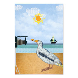 Foto Selfies de gaviotas