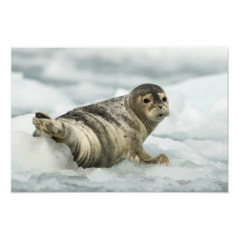 Foto Sello preciado del bebé