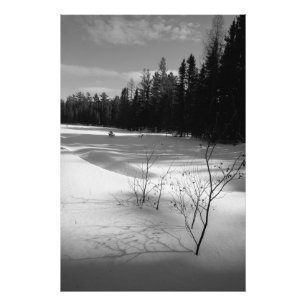 Foto Selva norte de nieve