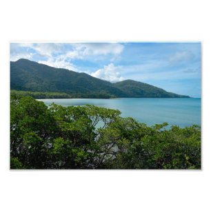 Foto Selva tropical Daintree en la tribulación del Cabo