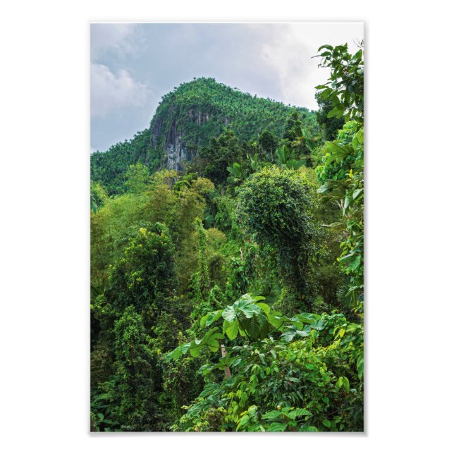 Foto Selva tropical exuberante y el pico del yunque (Frente)