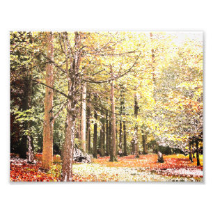 Foto Selvas acuáticas elegantes en otoño