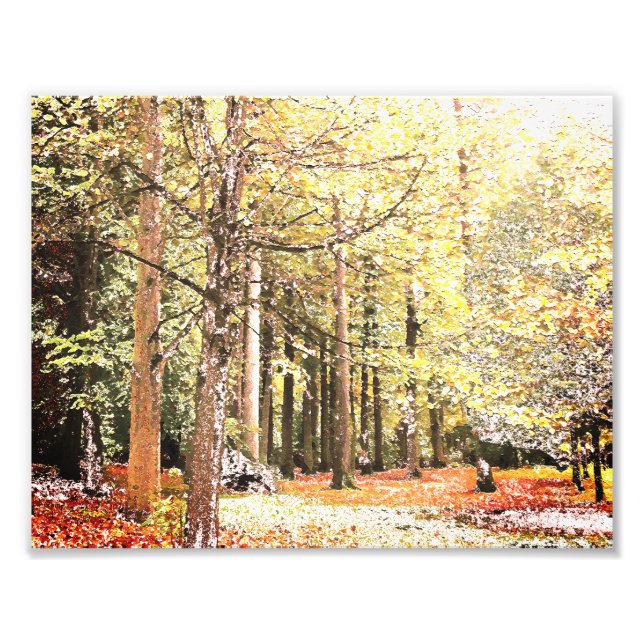 Foto Selvas acuáticas elegantes en otoño (Frente)