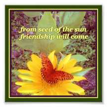 Semillas de amistad de mariposas de girasol