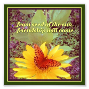 Foto Semillas de la amistad de la mariposa del girasol