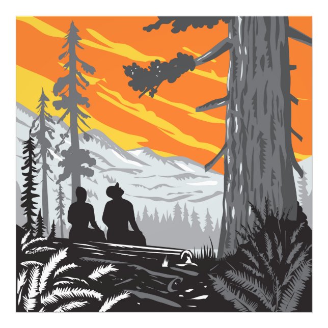 Foto Senderismo en el parque estatal Jedediah Smith Red (Frente)