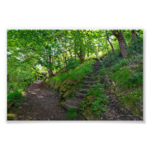 Sendero del bosque en Allan Park Sowerby Bridge