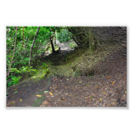 Foto Sendero del bosque en Allan Park Sowerby Bridge