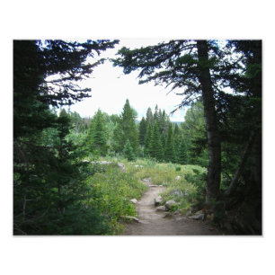 Foto Sendero Grand Teton