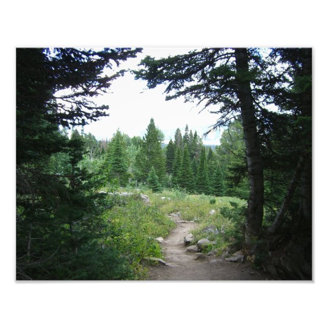 Foto Sendero Grand Teton (Frente)