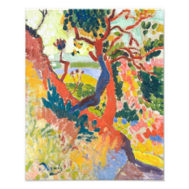 Foto Sendero hundido, L'Estaque | Andre Derain |