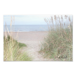 Foto Sendero que atraviesa dunas de arena