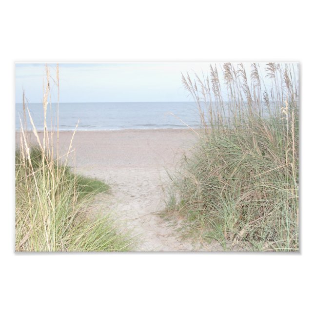 Foto Sendero que atraviesa dunas de arena (Frente)