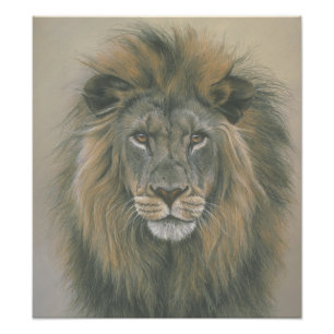 Foto Señor del poster del león de la selva