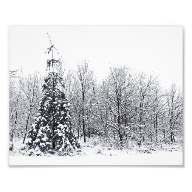 Foto separación con certeza (Frente)