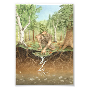 Foto Sequedad micorrizal de hongos