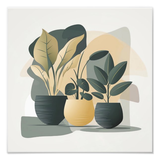 Foto Serene Succulents (Frente)