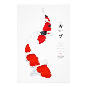 Foto Serenidad Koi: Kohaku y Sanke