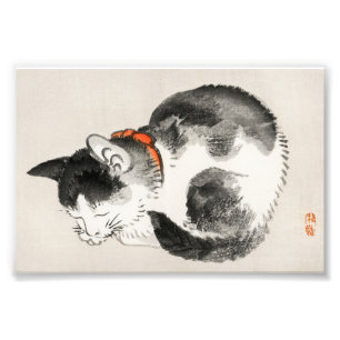Foto Sereno Sueño: Gato Durmiendo por Kōno Bairei