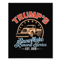 Servicio de Eliminación de Copos de Nieve de Trump