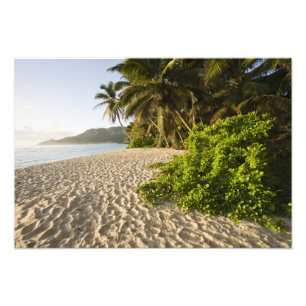 Foto Seychelles, isla de Mahe, Anse Marie-Louise