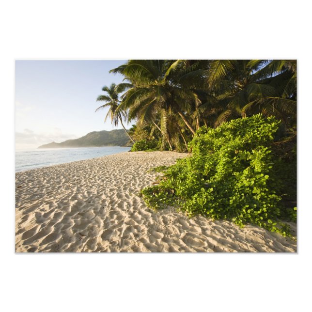 Foto Seychelles, isla de Mahe, Anse Marie-Louise (Frente)