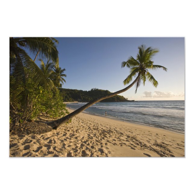 Foto Seychelles, isla de Mahe, playa de Anse Takamaka, (Frente)