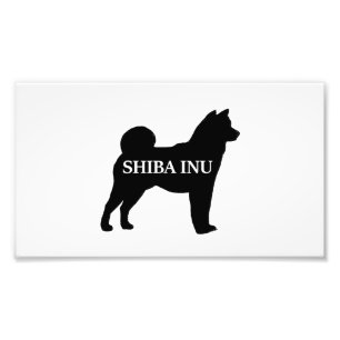 Foto Shiba Inu nombre silo negro