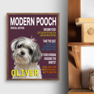 Foto Shih Tzu Parody Magazine Cover