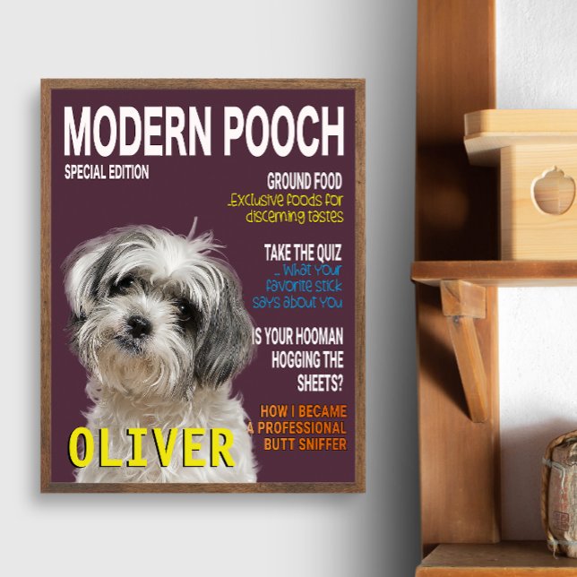 Foto Shih Tzu Parody Magazine Cover  (Subido por el creador)