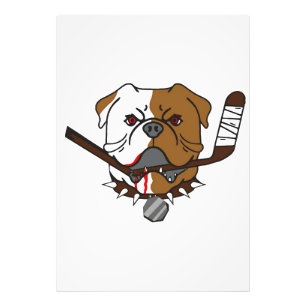 Foto SHORESY Bulldogs de Sudbury