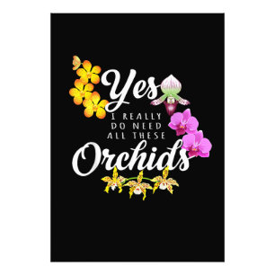 Foto Sí, realmente necesito todas estas orquídeas