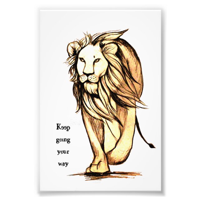 Foto siga su camino (Frente)