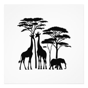 Foto Silhouette africana de safari - jirafas, elefante