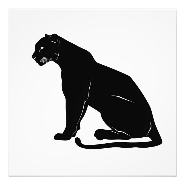 Foto Silhouette Black Panther (Frente)